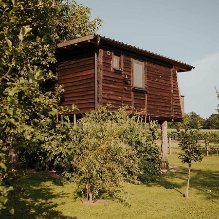 Hotel Treehouse Drevesna Hiska Strkovo Gnezdo Ranc Jures Ljutomer Exterior foto